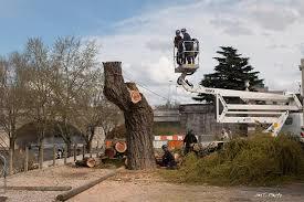 Guinguette de Pont Wilson